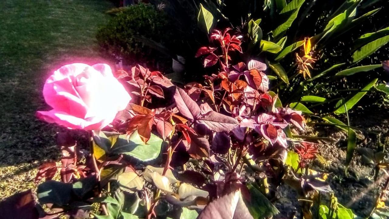 Hotel Quinta Del Sol Tepoztlan Εξωτερικό φωτογραφία